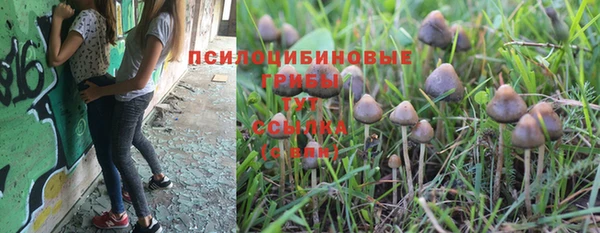 кристаллы Новокубанск