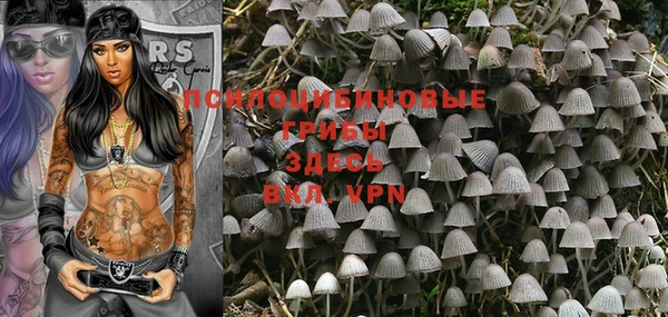 дмт Новодвинск