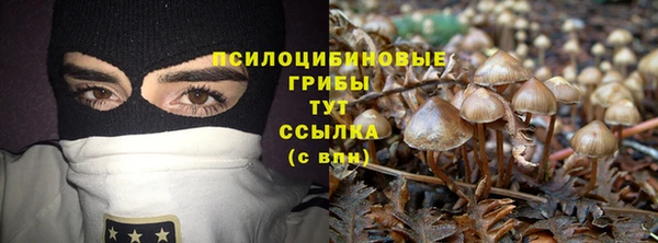 спайс Волоколамск