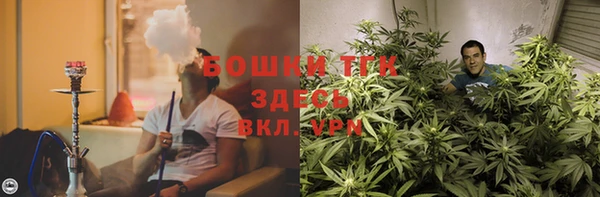 дмт Новодвинск