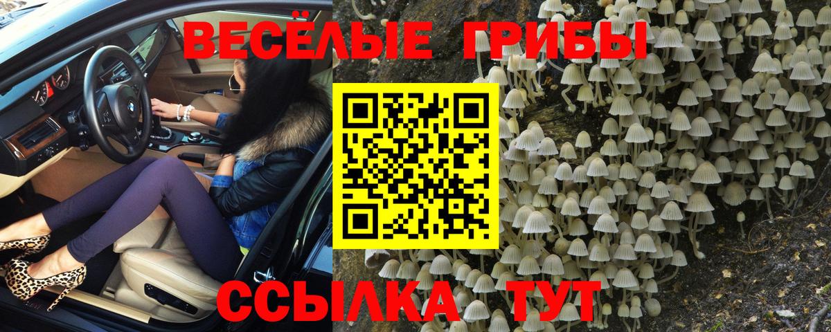 Псилоцибиновые грибы Magic Shrooms Новоуральск
